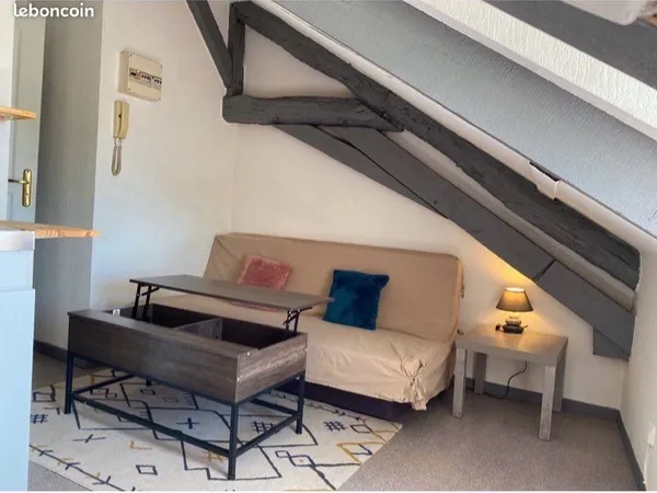 Studio lumineux avec vue sur la Loire, centre-ville