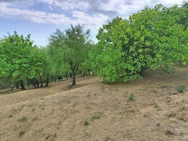 Terrain à vendre 1420 m² avec vue dégagée à Grasse - Saint Jacques