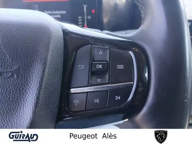 Ford Transit custom fgn 320 l2h1 2.0 ecoblue 170 ch bva8 4x4 — photo 16