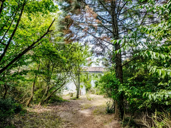 Maison 60 m² - 2 pièces