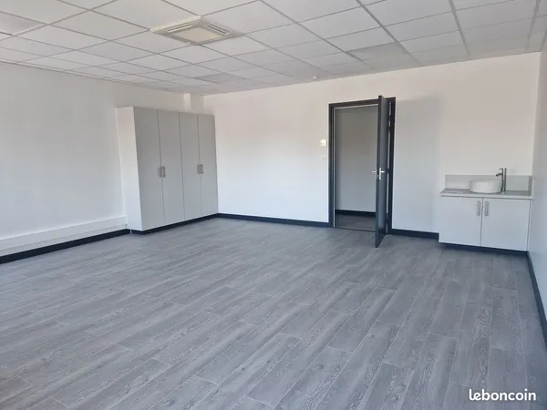 Locaux professionnels a louer