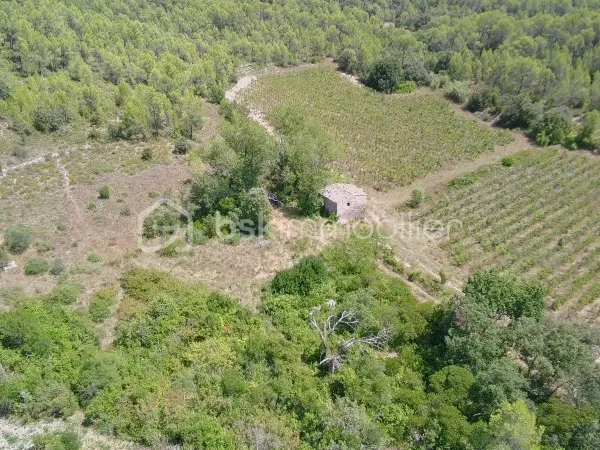 Terrain 11476 m²