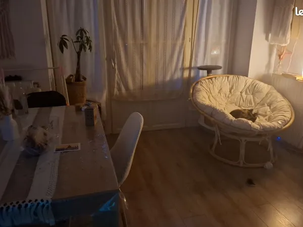 Appartement plein centre rdc