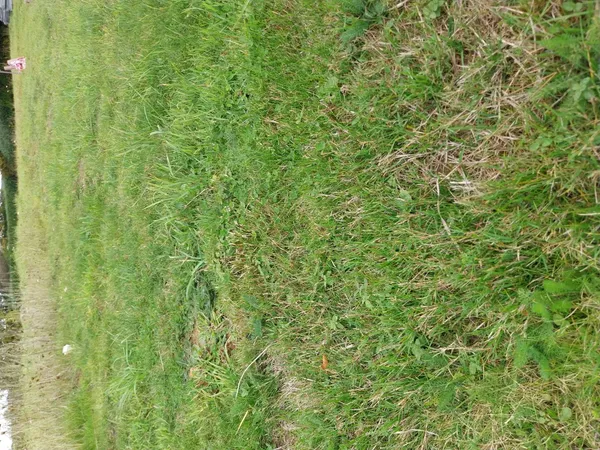 Terrain 350 m²