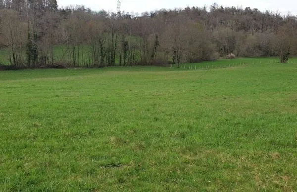 Terrain 30462 m²