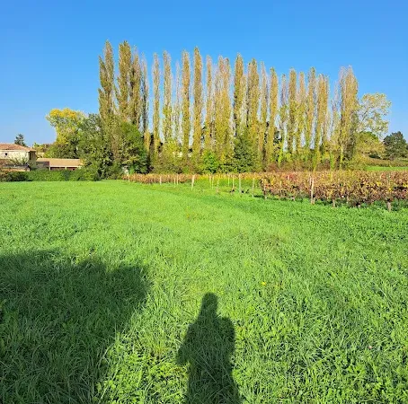 Maison neuve 4 pièces 135 m²