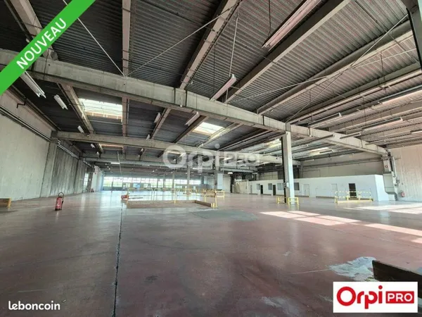 Local d'activité 3 000 m²