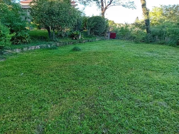 terrain arboré