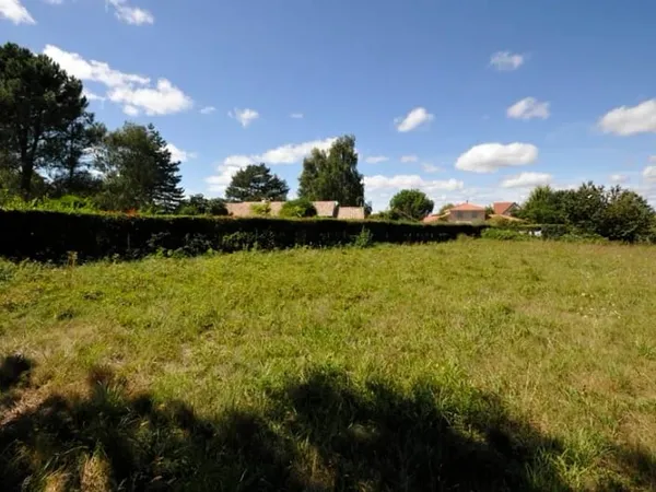 Terrain 1317 m²
