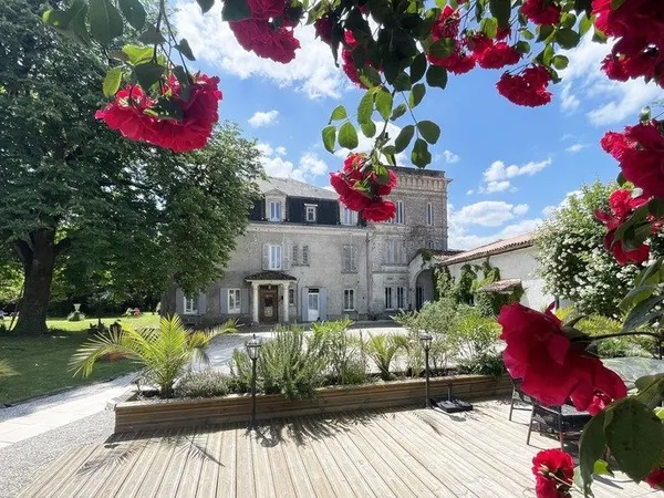 Château + gîte avec activité d'hébergement touristique proche de COGNAC (16)