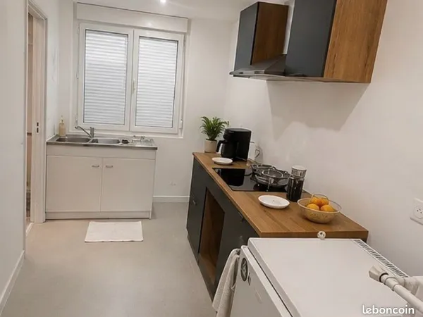 T3 60m2 meublé - Nancy / Laxou - Colocation fille