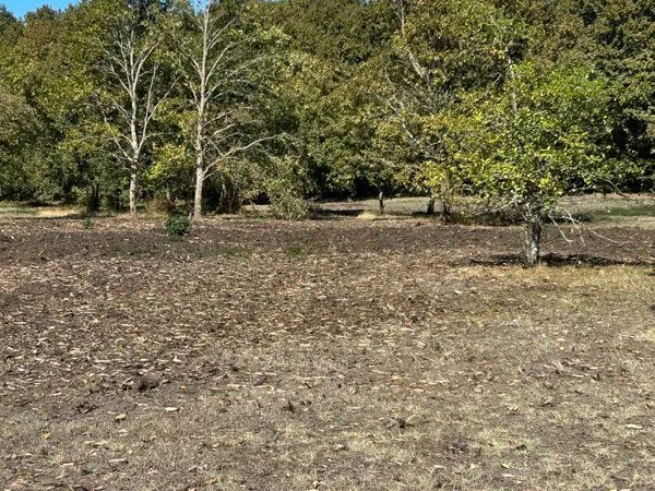 Terrain 1500 m2