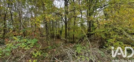Terrain 91662 m²