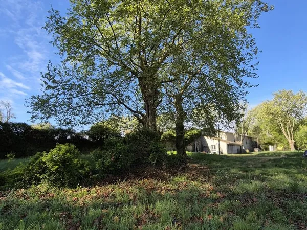 Terrain 24000 m²