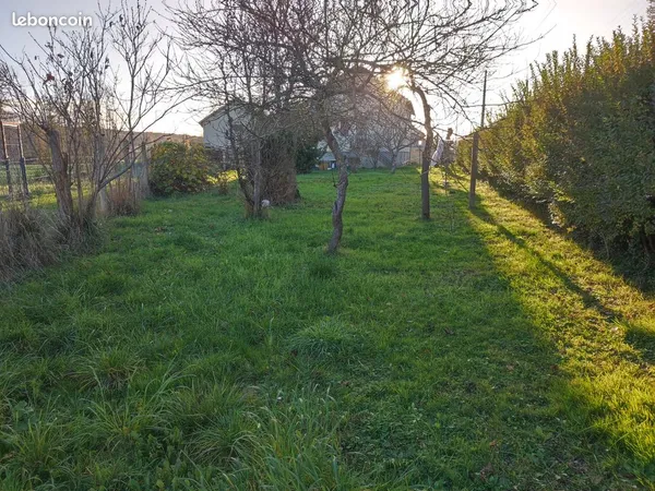 Terrain constructible