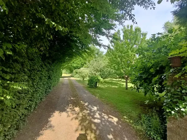 Maison 8 pièces 210 m²