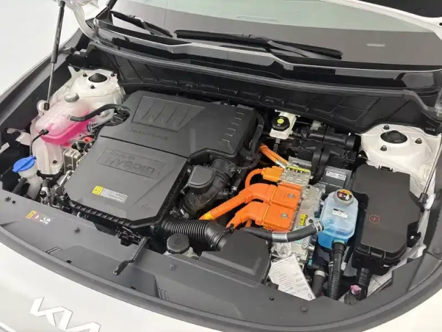 Kia Niro 1.6 gdi 171 ch phev dct6 — photo 36