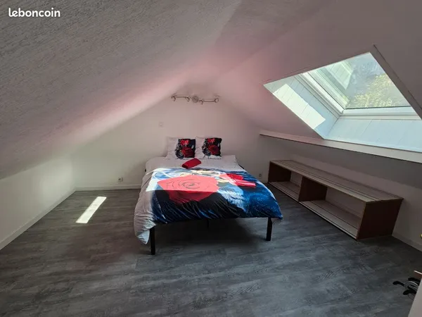 Grande Chambre de 38 m2 en colocation à la frontière suisse