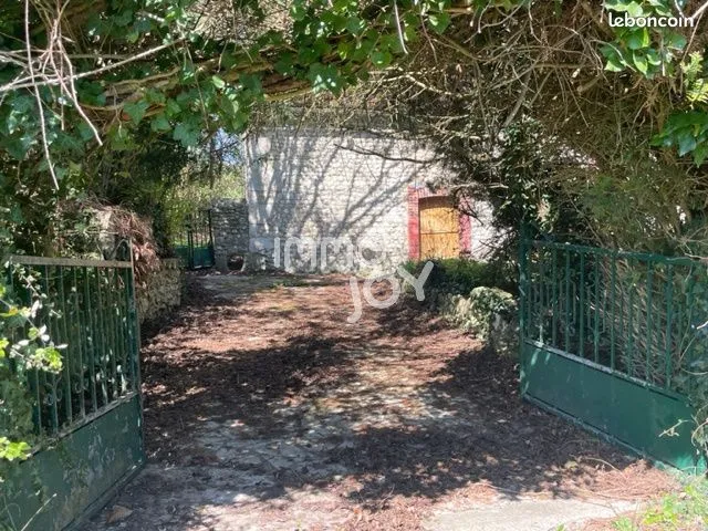Photo 4