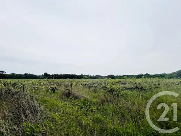 Terrain 20380 m²