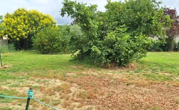 Terrain 805 m²