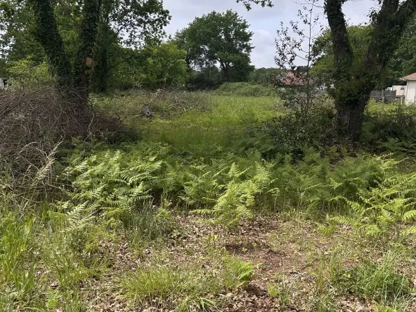 Vends terrain