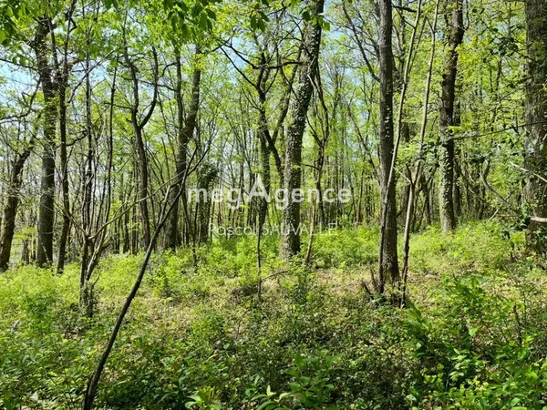 Terrain à bâtir de 4400m2