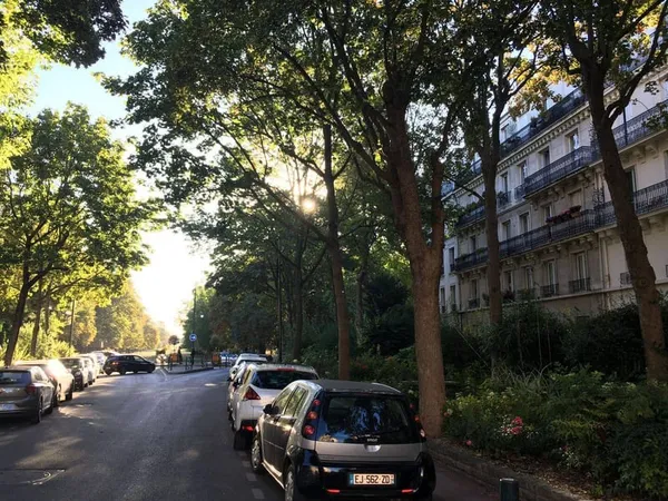 Appartement 3 pièces 44 m²