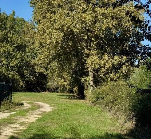 Terrain à bâtir de 580 m² à MOULIS-EN-MEDOC (33)