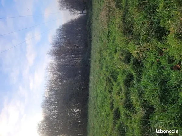 Terrain 378 m² Chateaugiron