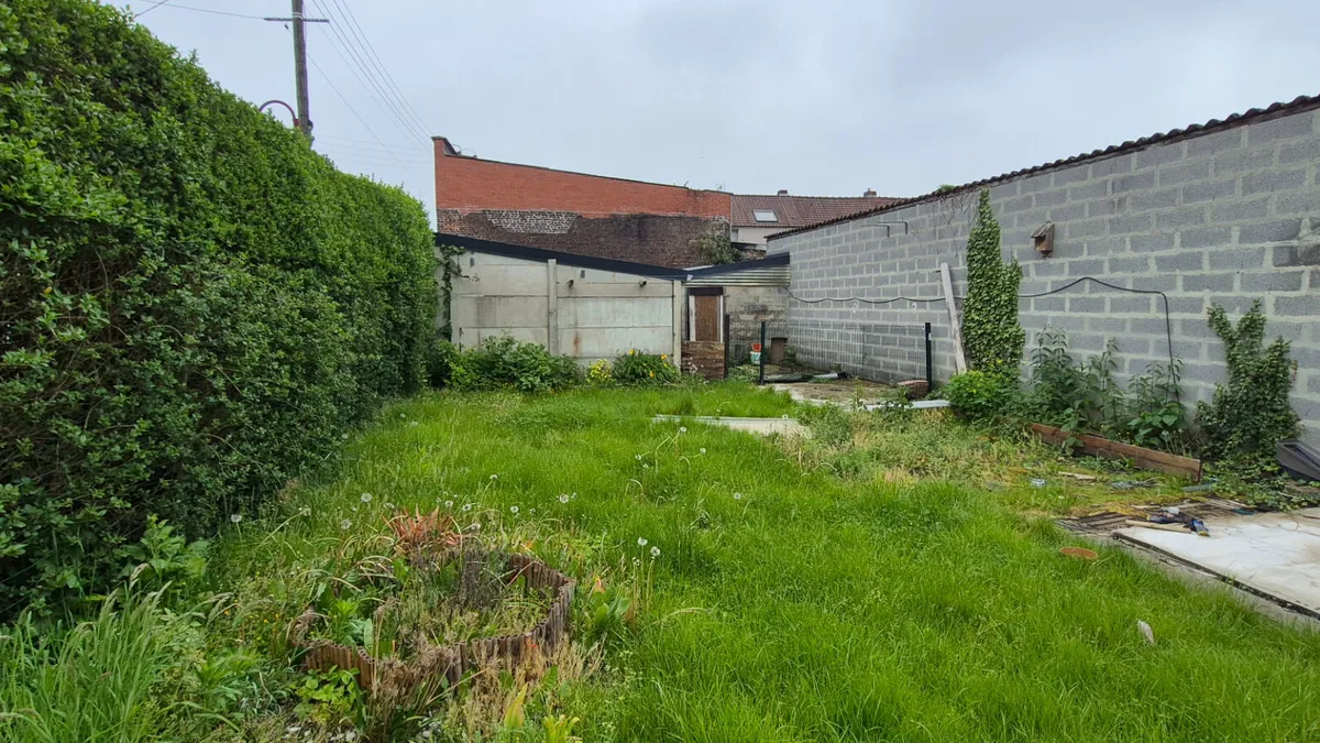 Photo 3