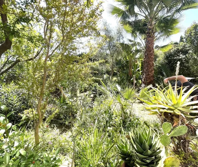 Photo 3