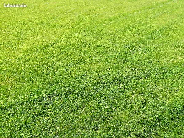 Terrain 453 m² Binic Etables Sur Mer