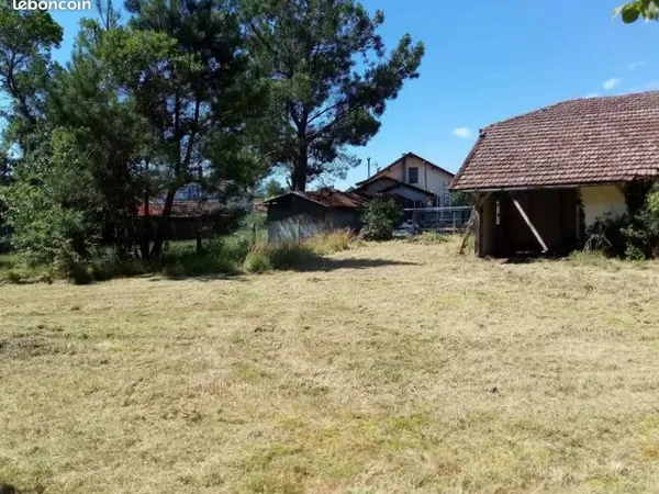 Terrain agréable contre foret