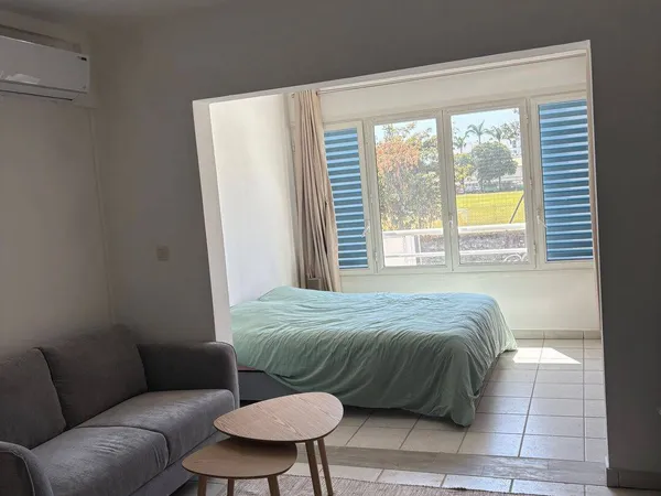 Appartement 1 pièce 30 m²