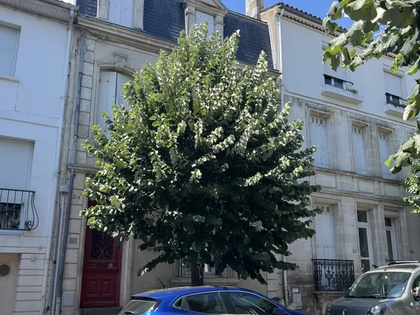 Vente Duplex 2 pièces