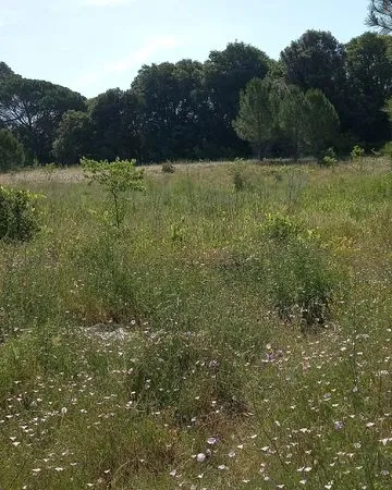 Location terrain agricole irrigable