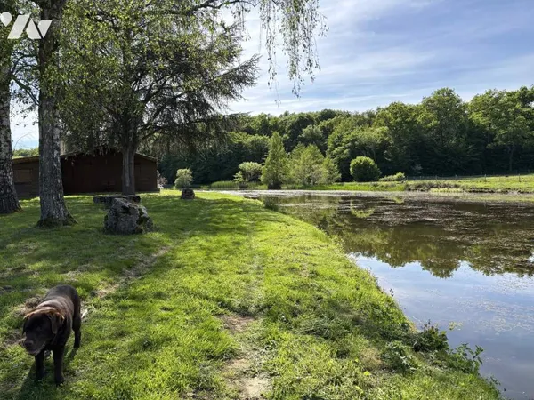 Terrain 19500 m²