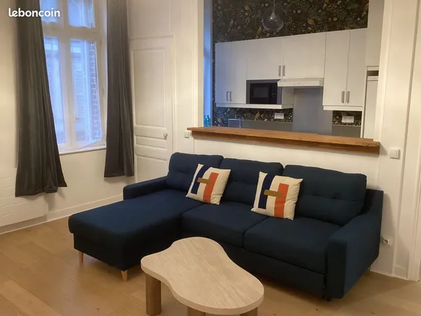 Location meublée grand Type 2 refait à neuf et décoré avec goût en centre ville Amiens