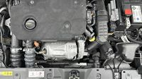 Peugeot 2008 1.5 BlueHDi 110ch S&S Allure Business 5cv — photo 20