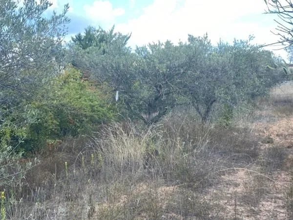 Terrain 420 m² Pourrieres
