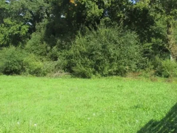 Terrain 540 m²