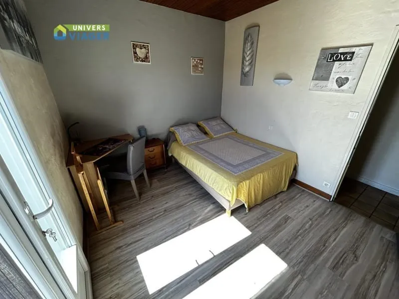 Photo 12