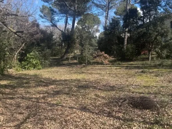 Terrain 800 m²