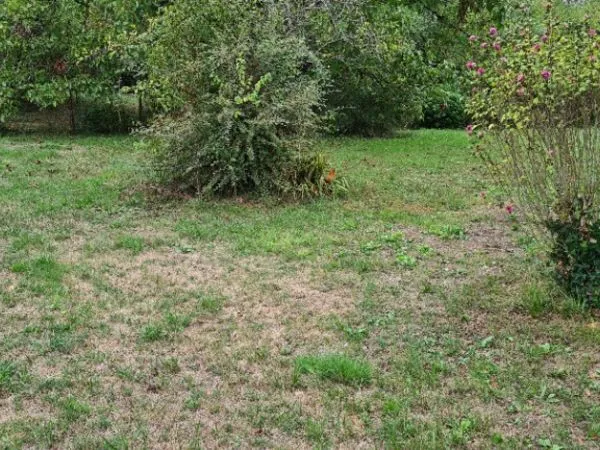 Terrain 810 m²