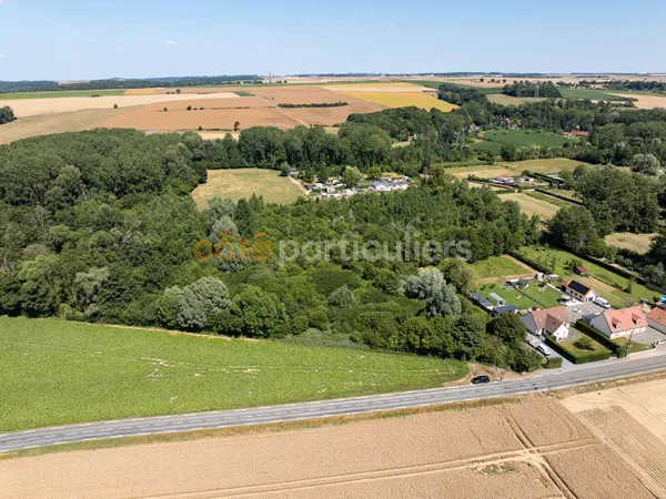 GALAMETZ : PARCELLE DE BOIS