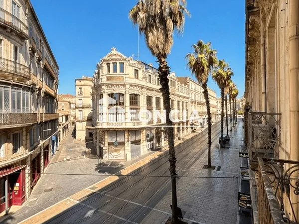 Place de la Comédie - T5 Haussmanien traversant avec ascenseur et verrière sur cour intérieure végét