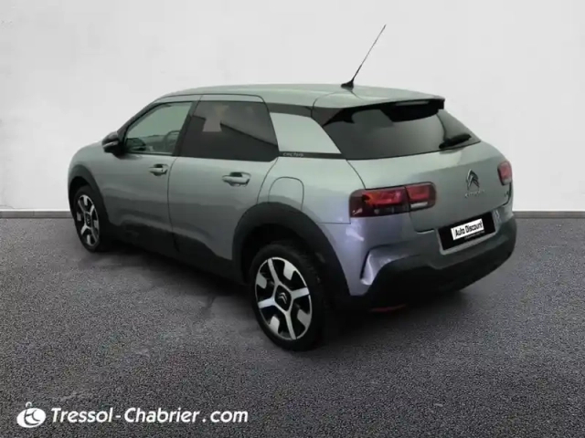 Citroën C4 cactus puretech 110 s&amp;s bvm6 shine — photo 30