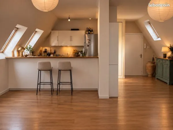 Grand 3 Pièces - 70M2 - Quartier Cathédrale Tours