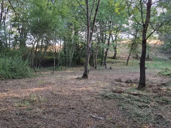 Terrain de loisirs